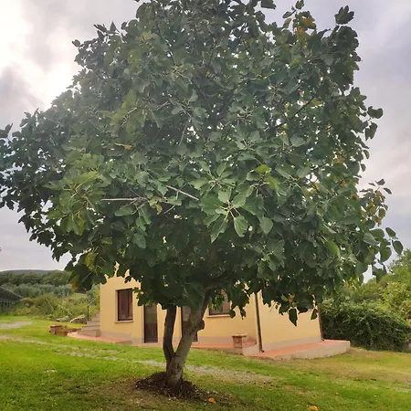Collina Degli Ulivi * Sarteano