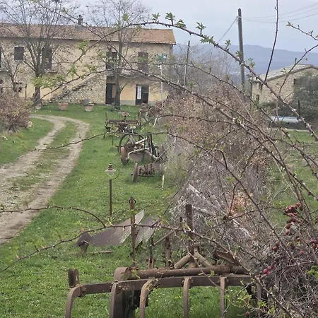 Appartement Collina Degli Ulivi