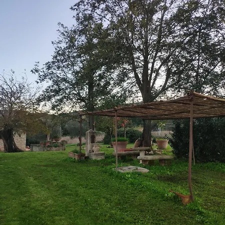Collina Degli Ulivi Daire