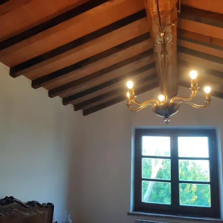 Collina Degli Ulivi