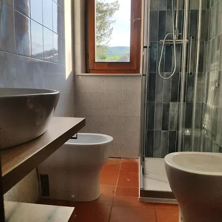 Collina Degli Ulivi *