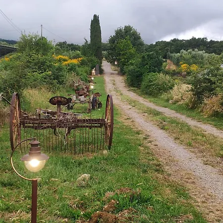 Collina Degli Ulivi Daire