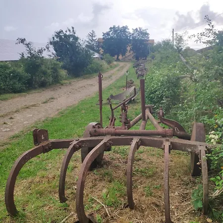 Daire Collina Degli Ulivi