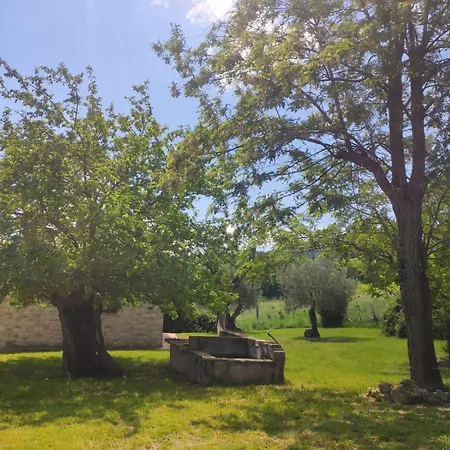 Collina Degli Ulivi *