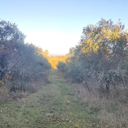Collina Degli Ulivi Appartement Sarteano