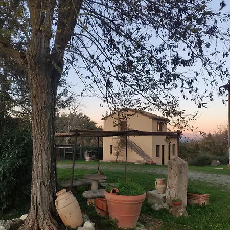 Collina Degli Ulivi Sarteano