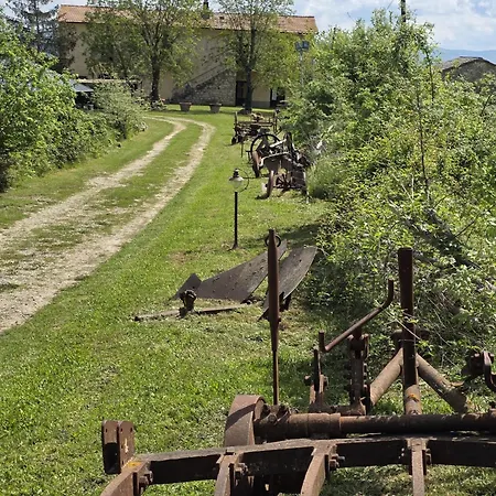 Collina Degli Ulivi *