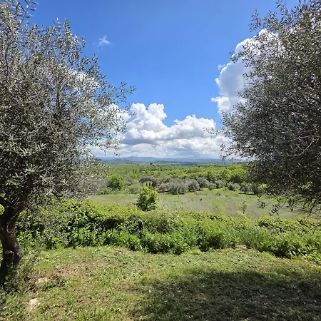Daire Collina Degli Ulivi *