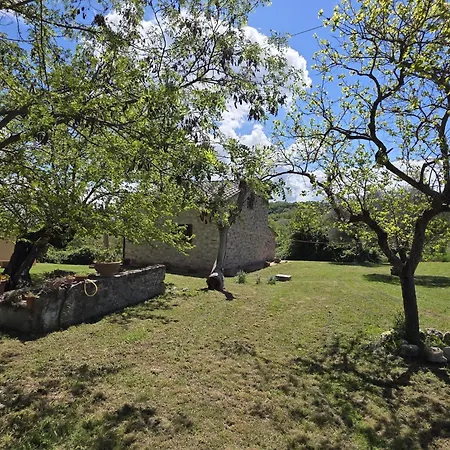Collina Degli Ulivi Daire Sarteano