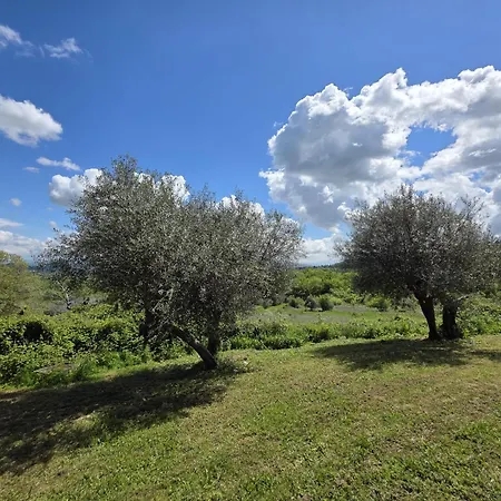 Collina Degli Ulivi Appartement