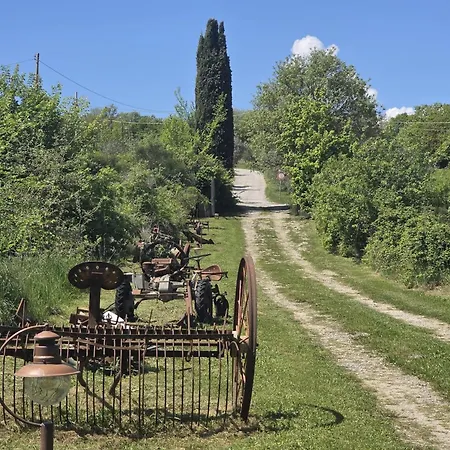 Collina Degli Ulivi * Sarteano