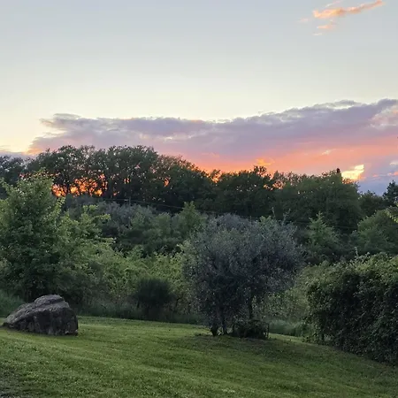 Collina Degli Ulivi Sarteano