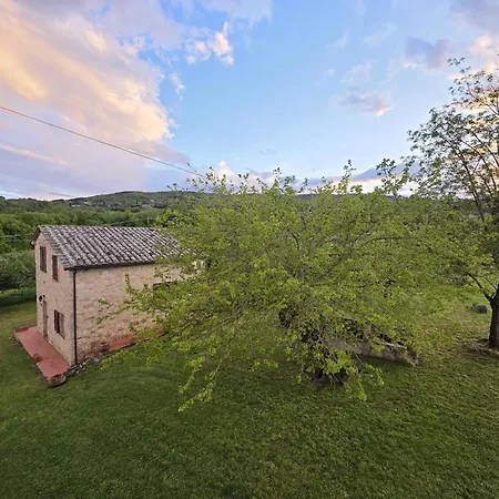 Collina Degli Ulivi Daire Sarteano