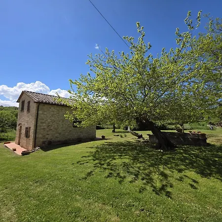Collina Degli Ulivi Appartement Sarteano