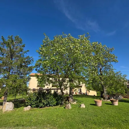 Collina Degli Ulivi Daire *
