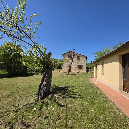 Collina Degli Ulivi * Sarteano