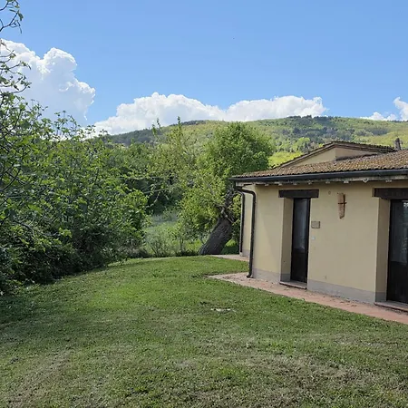 Collina Degli Ulivi