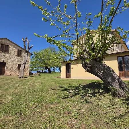 Collina Degli Ulivi Sarteano