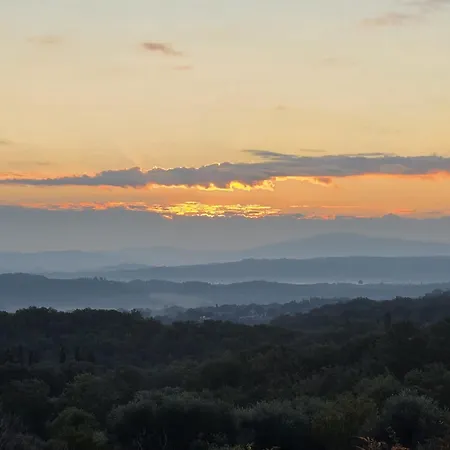 Collina Degli Ulivi