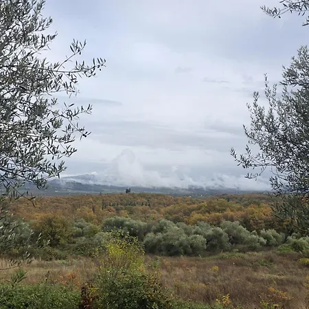 Collina Degli Ulivi Appartement *