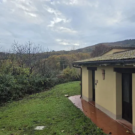Collina Degli Ulivi Sarteano