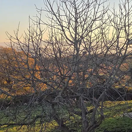 Appartamento Collina Degli Ulivi *