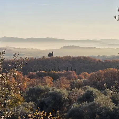 Collina Degli Ulivi * Sarteano