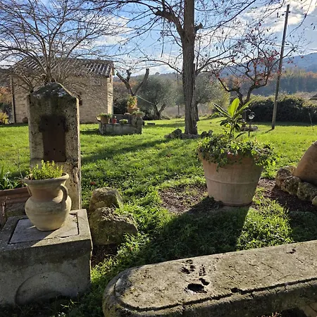 Collina Degli Ulivi